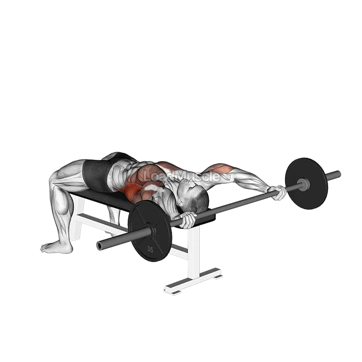 Barbell Wide Pullover demonstration