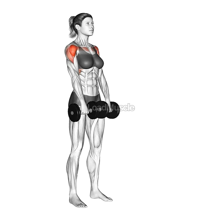 Dumbbell Alternate Front Raise demonstration