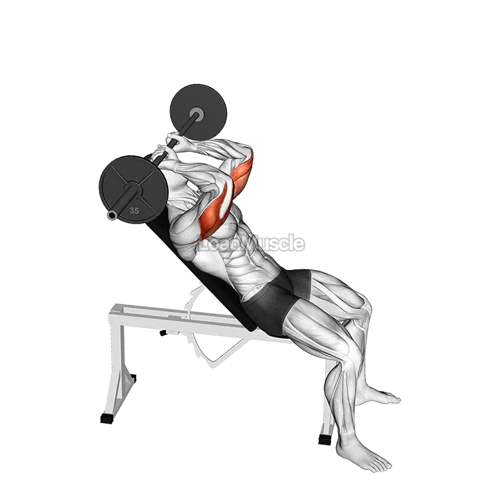 Barbell Incline Triceps Extension Skull Crusher demonstration