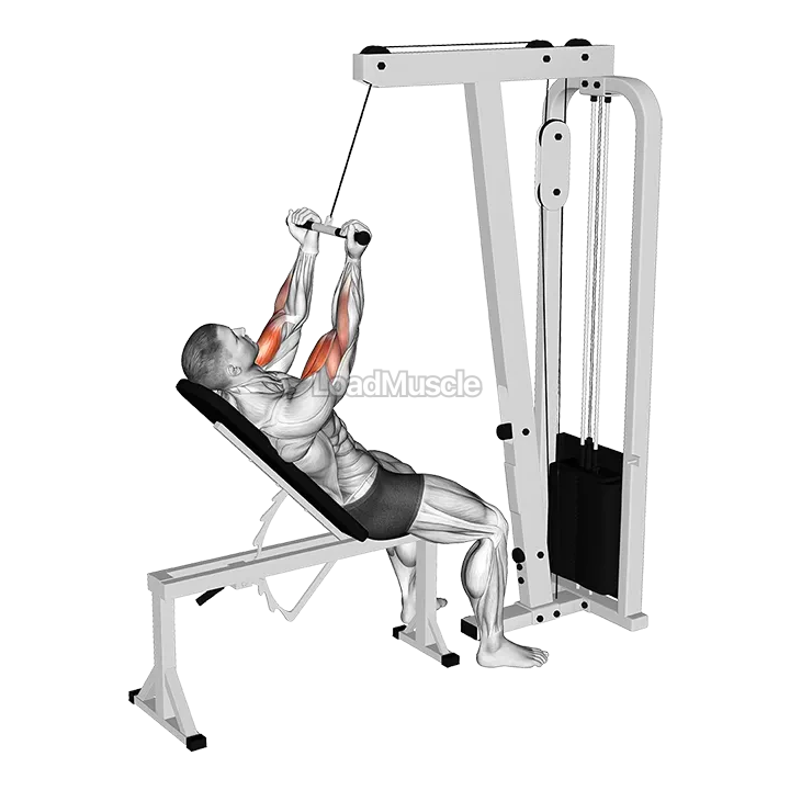 Cable Incline Close grip Curl demonstration