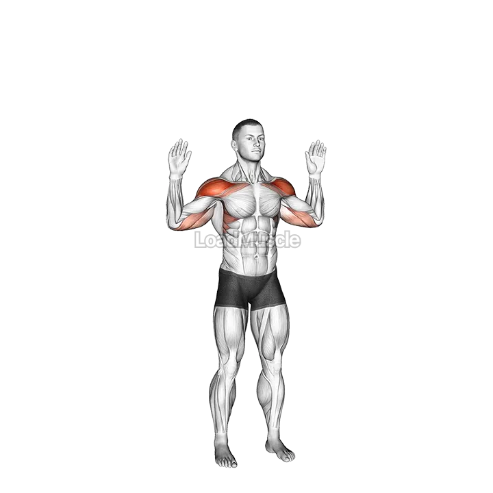 Bodyweight Standing Military Press demonstration