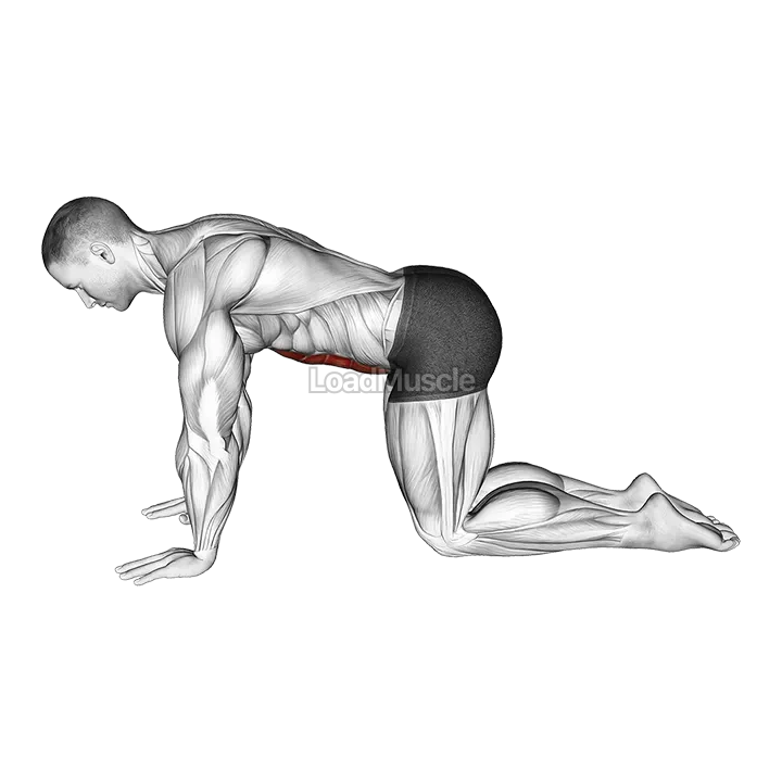Abdominal 4 points demonstration