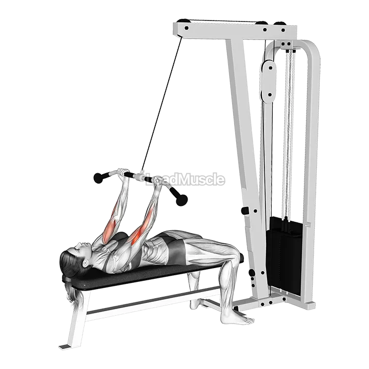 Cable Lying Regular grip Curl demonstration