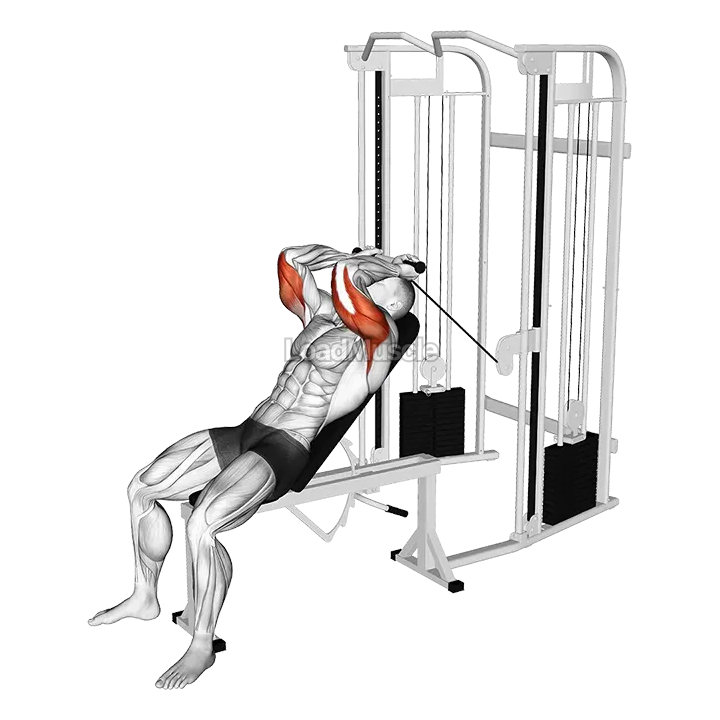 Cable Incline Skull Crusher demonstration