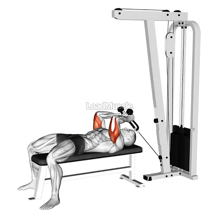 Cable Lying Triceps Extension (with Rope) demonstration