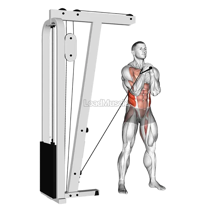 Cable horizontal Pallof Press demonstration