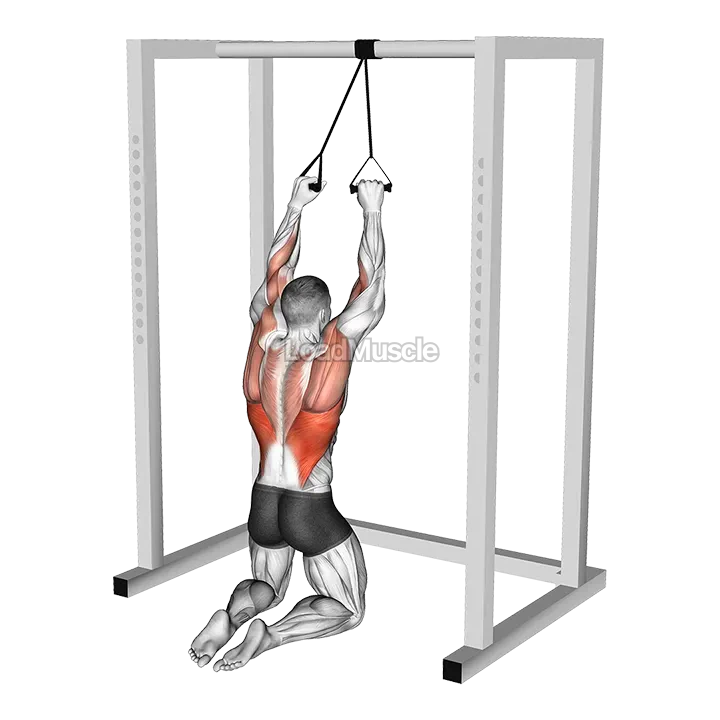 Band Knelling Lat Pulldown demonstration