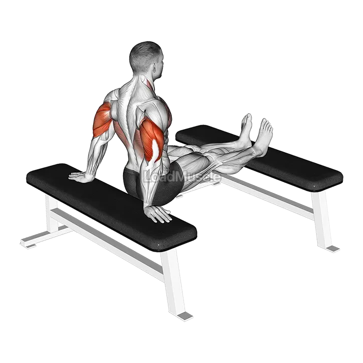 Bench Dip with legs on bench demonstration
