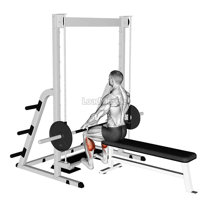 Smith Seated Calf Raise demonstration