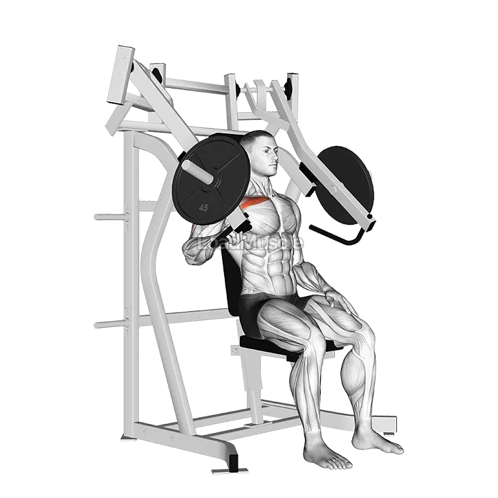 Lever Incline One Arm Chest Press (plate loaded) demonstration