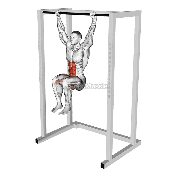 Hanging Deadbug demonstration