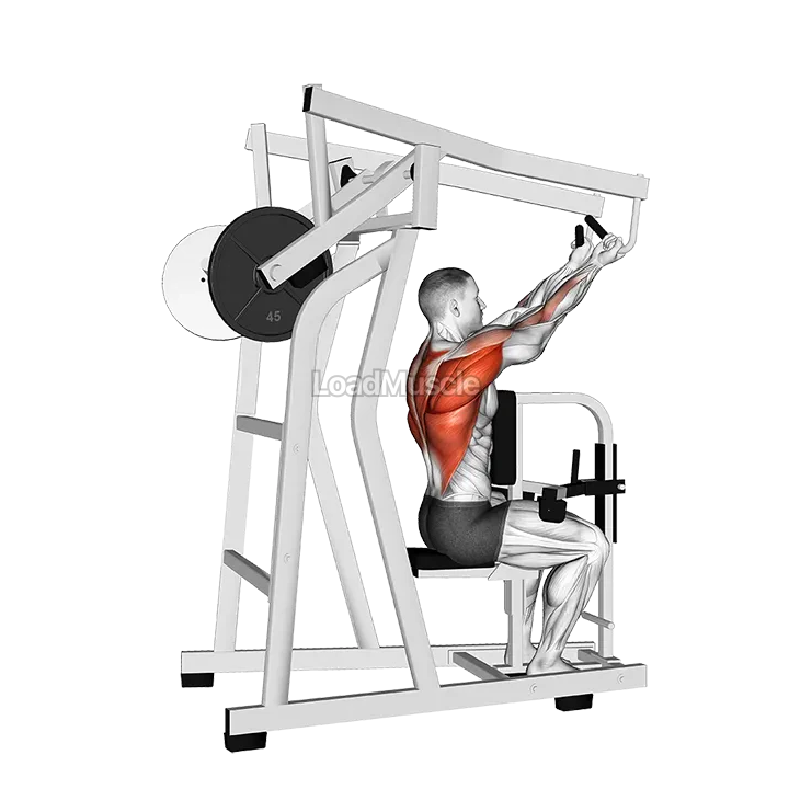 Lever Reverse Grip High Row (plate loaded) demonstration
