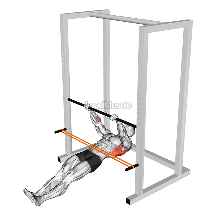 Resistance Band Inverted Row demonstration