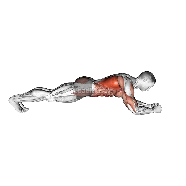 Body Saw Plank demonstration