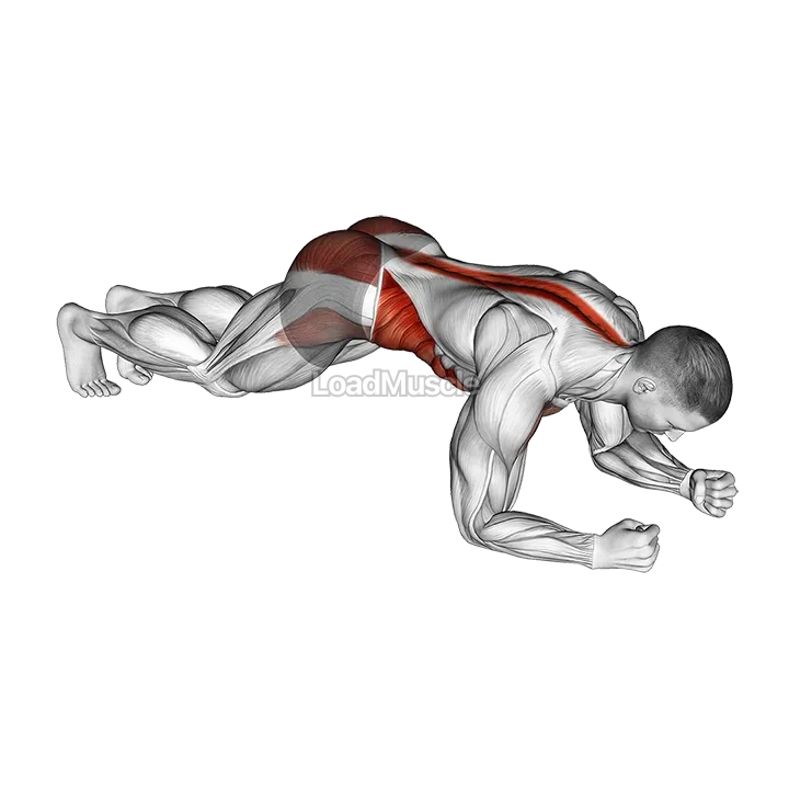 Hip Roll Plank demonstration