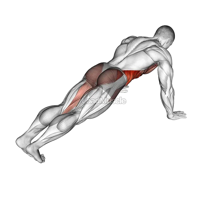 Leg Extension Plank demonstration