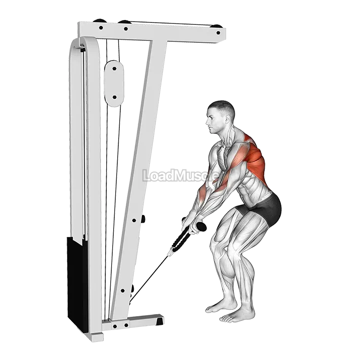 Cable Low Row with Rope Attachment demonstration