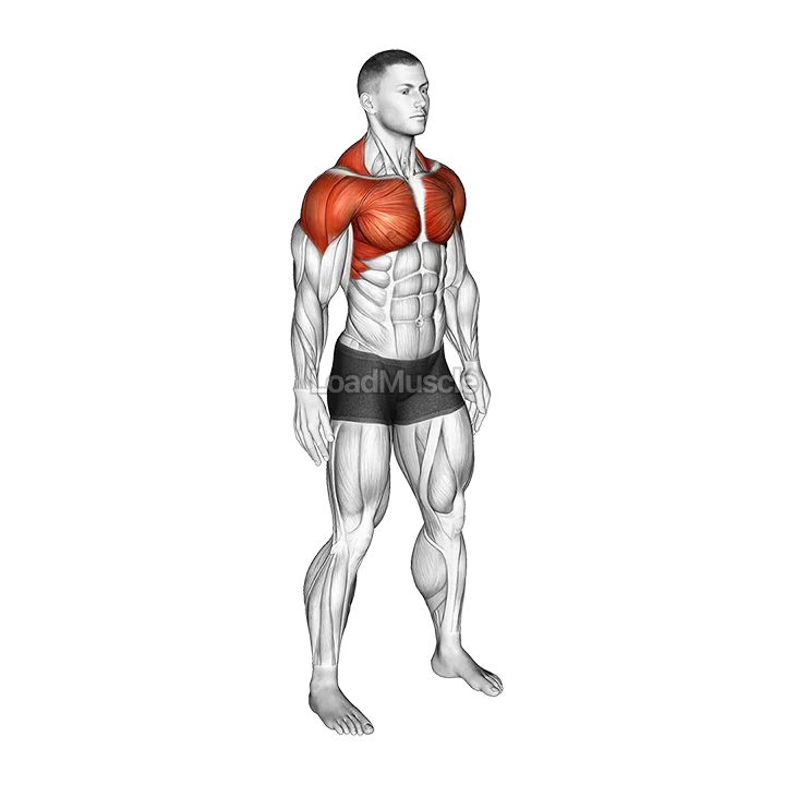 Shoulder Circle demonstration