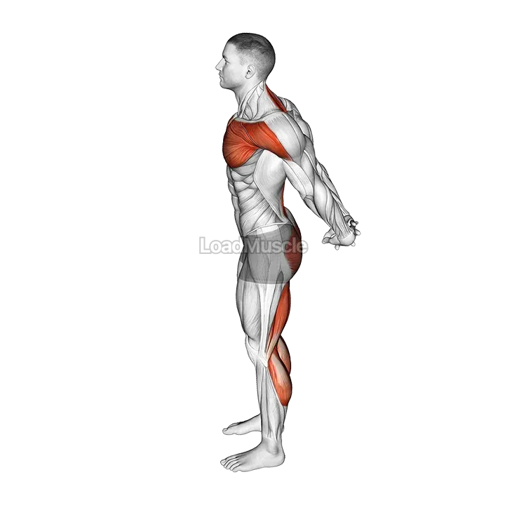 Standing Seal Yoga Pose demonstration