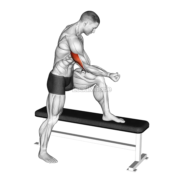 Tiger Tail Tricep demonstration