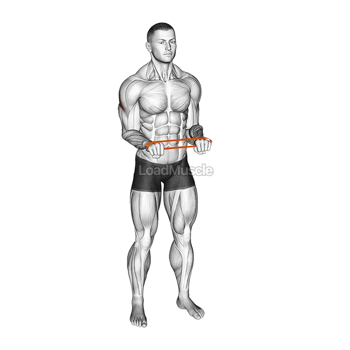 Resistance Band Pullapart (Pronated at 90 Degrees) demonstration