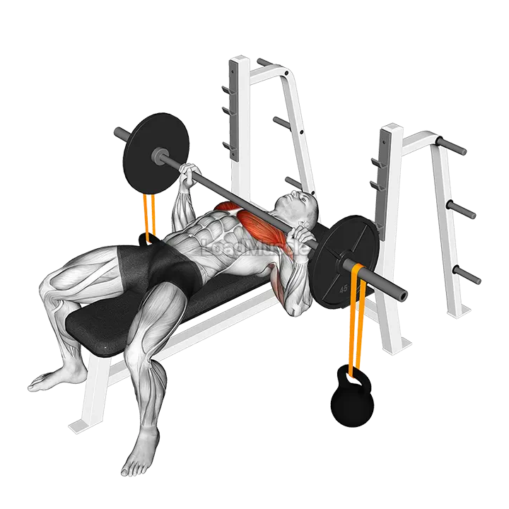 Barbell Bench Press with Band Suspended Kettlebell demonstration