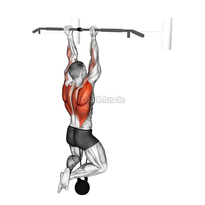Band Resisted Chin-up demonstration