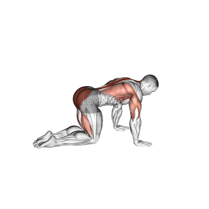 Sliding Leg Bird Dog demonstration