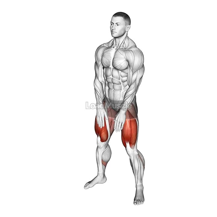 Sumo Squat Floor Touch demonstration