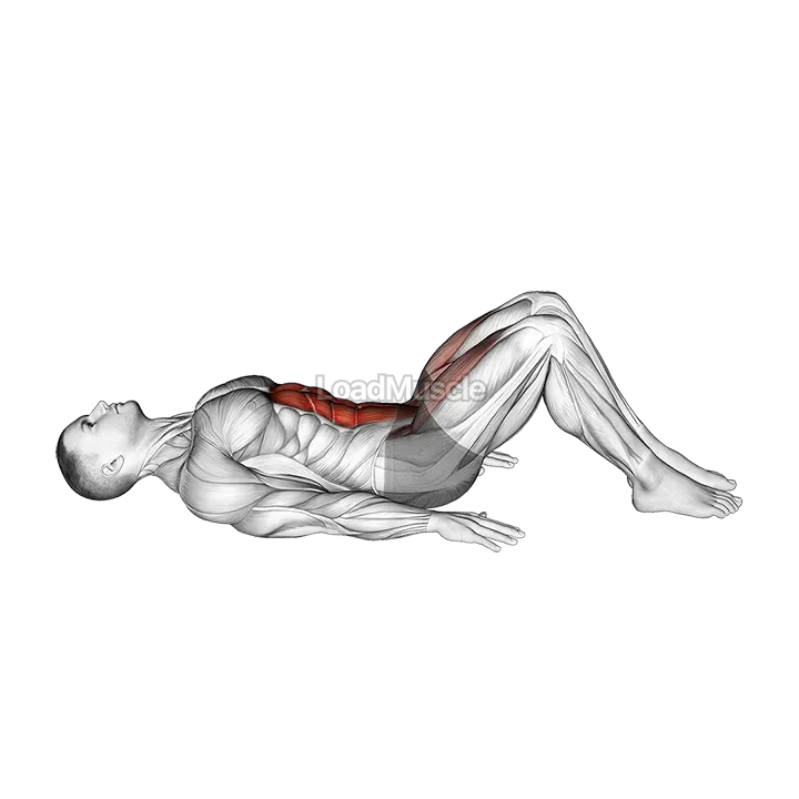 Lying Leg Raise (Modified) demonstration