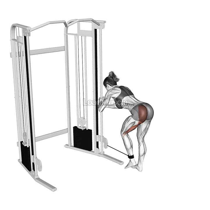 Cable Donkey Kickback demonstration