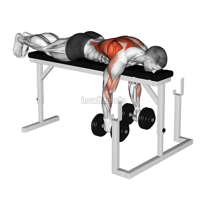 Dumbbell Lying Close Grip Parallel Row on Rack demonstration