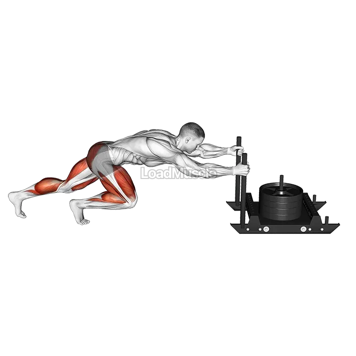 Power Sled Push demonstration