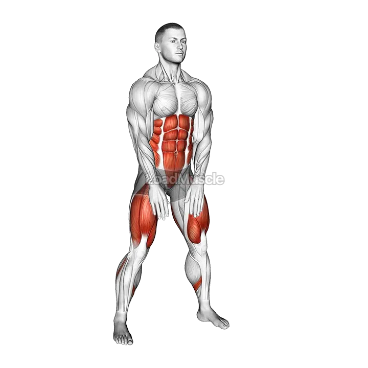 High Knee Squat demonstration