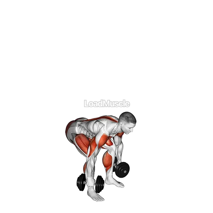 Dumbbell Power Clean and Jerk demonstration