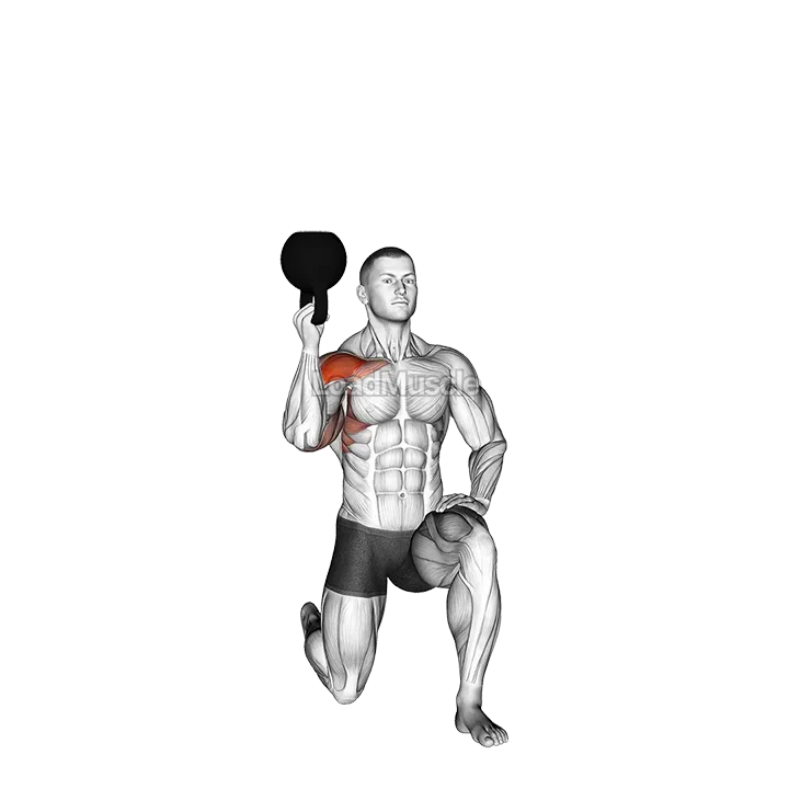 Kettlebell Half Kneeling One Arm Bottoms-up Press demonstration