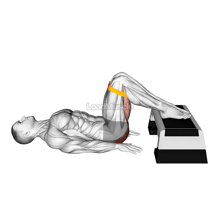 Resistance Band Elevated Glute Bridge demonstration