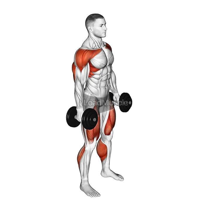 Dumbbell Hang Clean demonstration