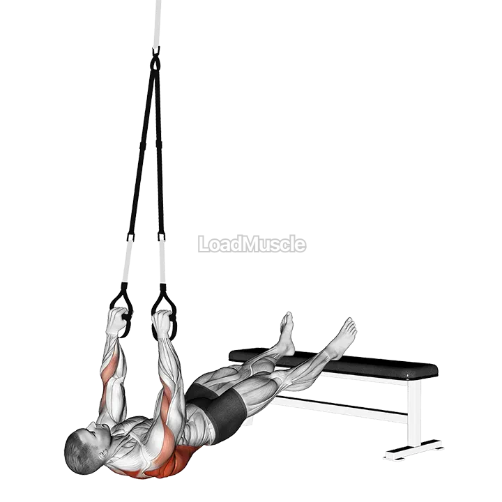 Suspender Wide Grip Inverted Row demonstration