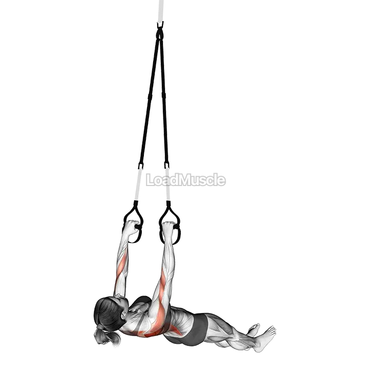 Suspender Wide Grip Inverted Row on floor demonstration