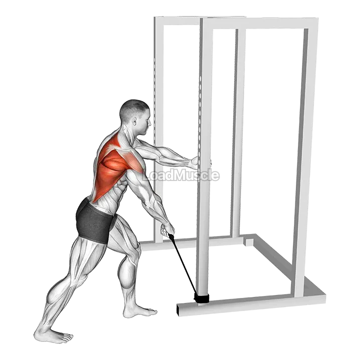 Band One Arm Standing Wide Grip Low Row demonstration