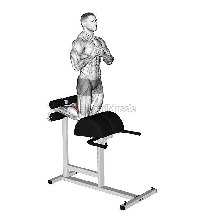 Glute Ham Raise demonstration