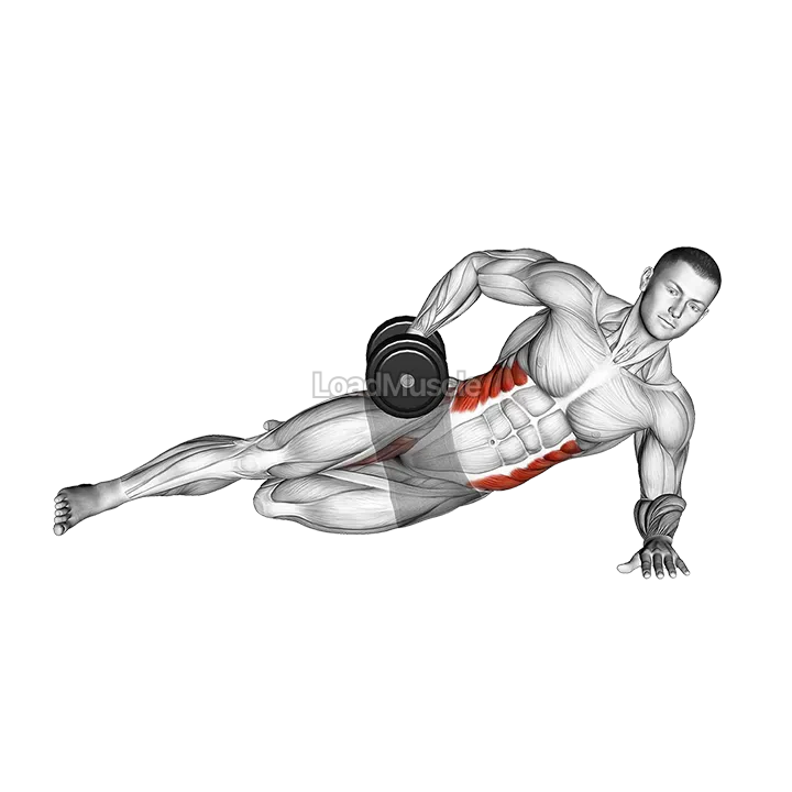 Dumbbell Side Bridge with Bent Leg demonstration