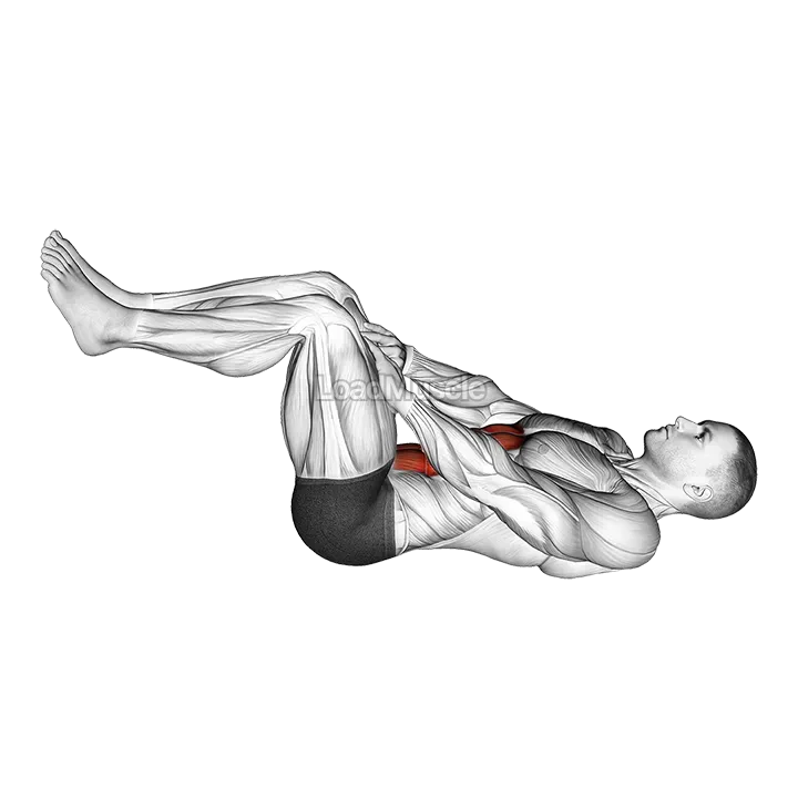 Lying Ab Press demonstration