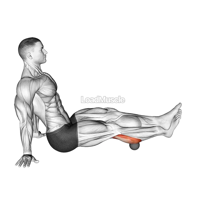 Roll Ball Calf demonstration