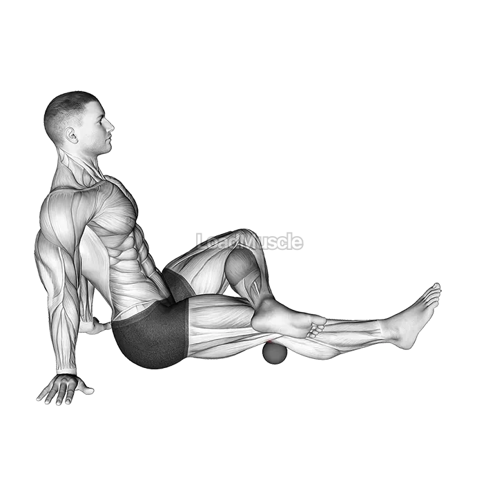 Roll Ball Popliteal demonstration