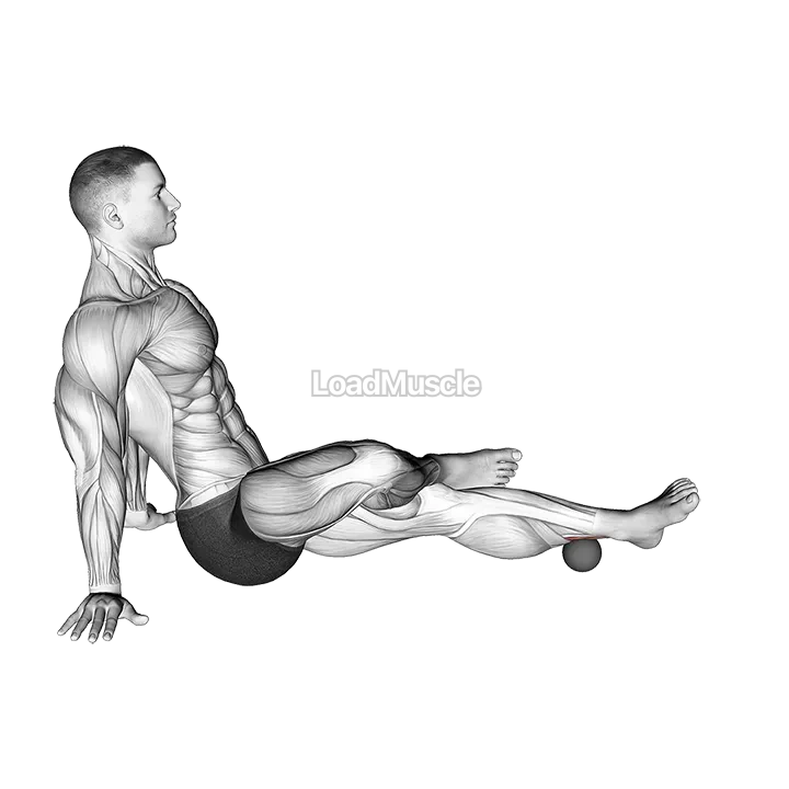 Roll Ball Tibialis Posterior demonstration