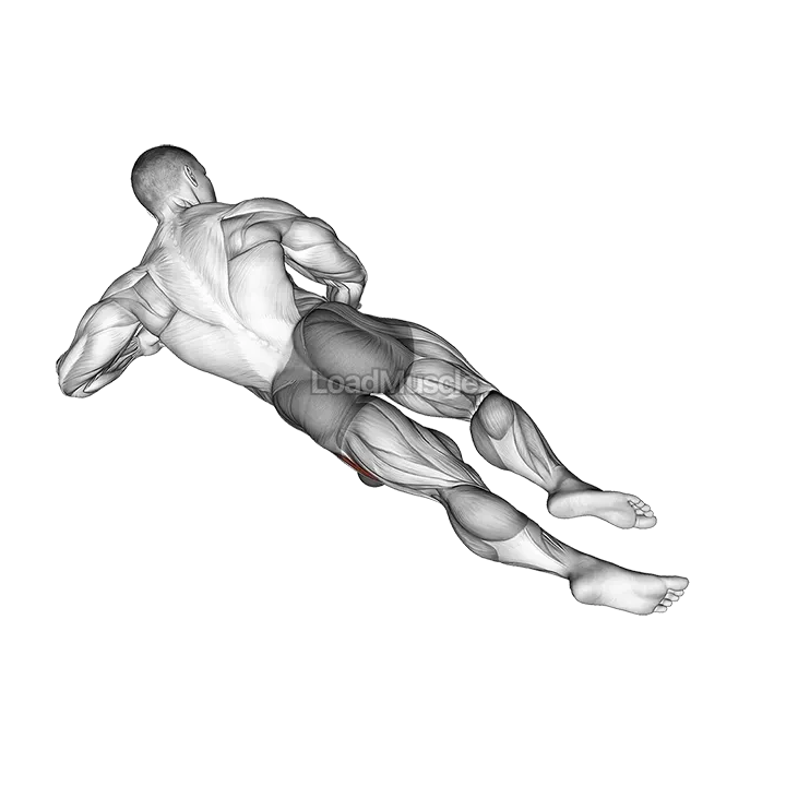 Roll Ball Lateral Vastus demonstration