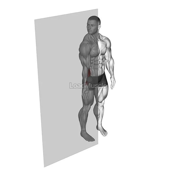 Roll Ball Forearm Flexors demonstration