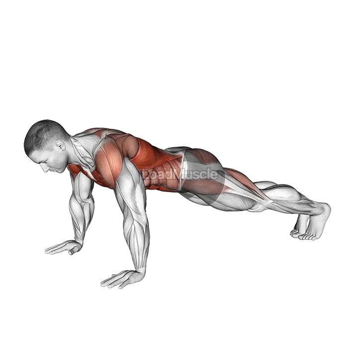 Bodyweight Front Plank to Downward Dog demonstration